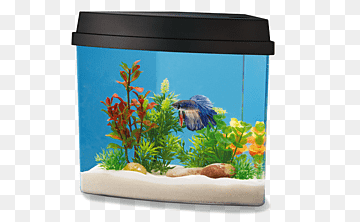 Aquarium Decoration