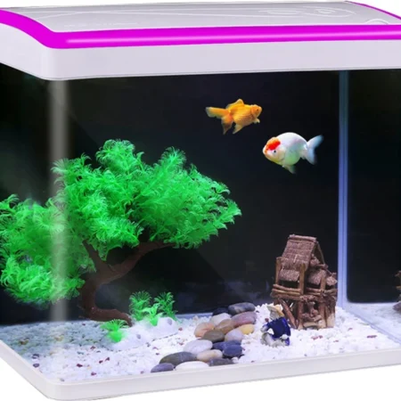 Jm 260 With Decoration And Fish