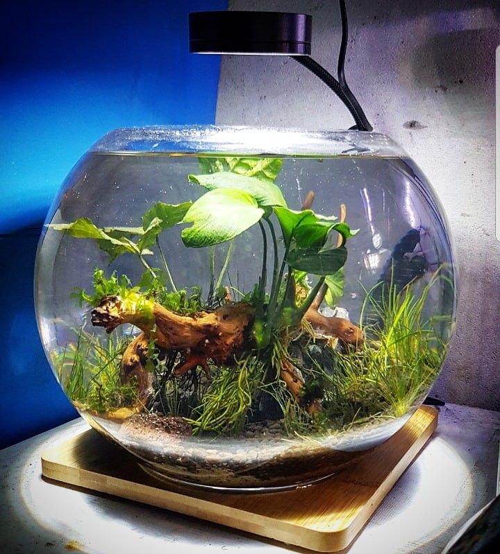 Glass Bowl With Decoration Large